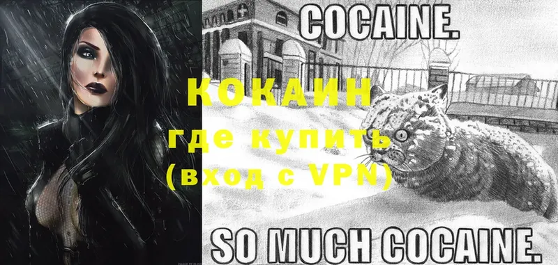 дарнет шоп  Камышлов  Cocaine VHQ 