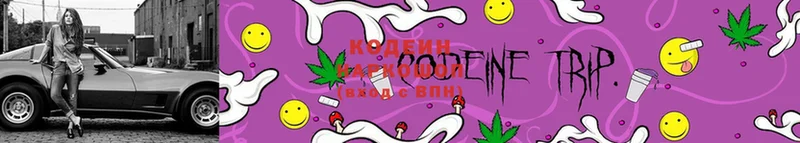 Codein Purple Drank  Камышлов 