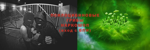 крисы Алагир