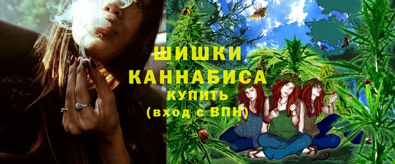 МАРИХУАНА THC 21%  наркошоп  Камышлов 